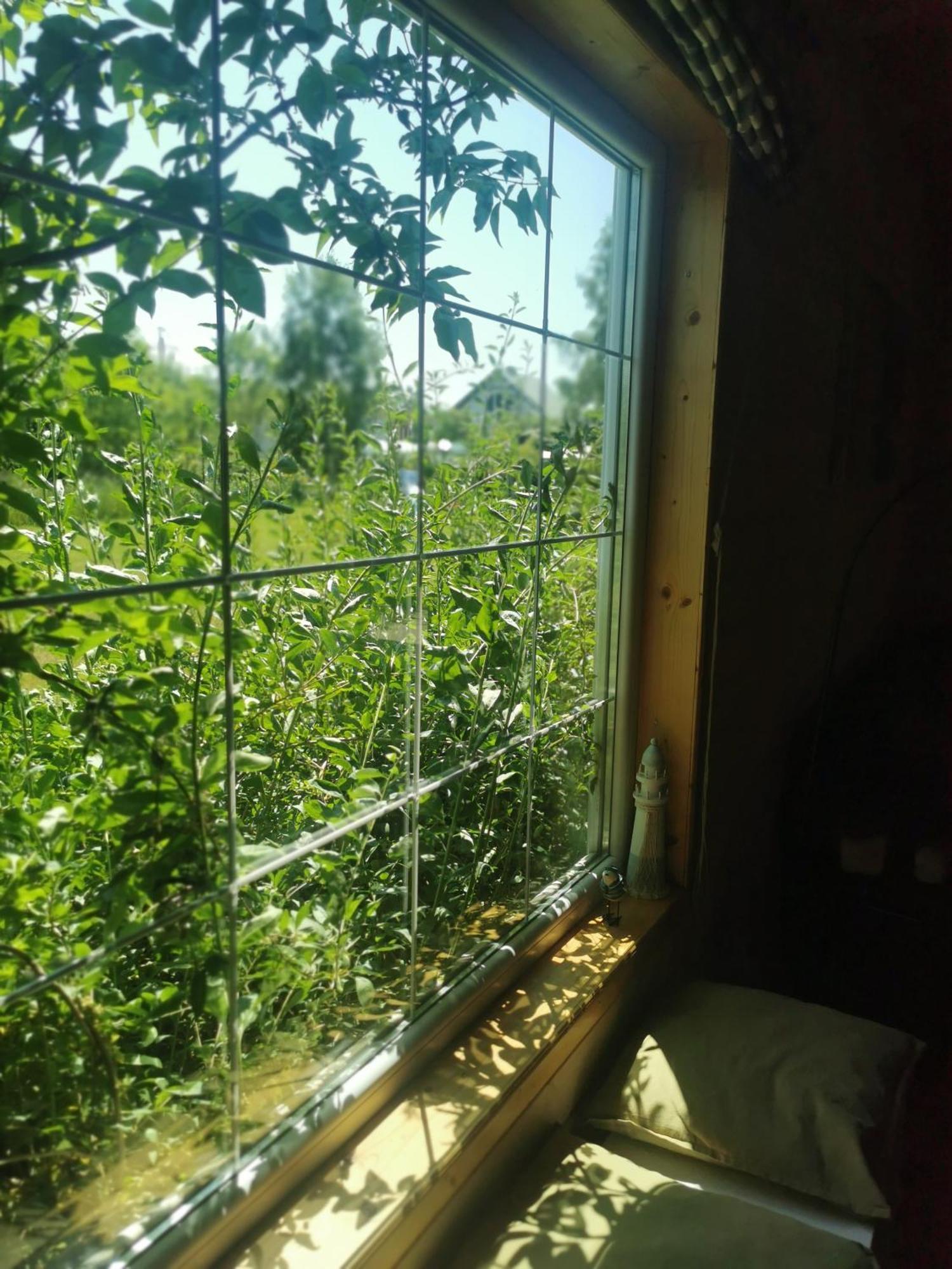 Stilove Wydmy Sasino Room photo
